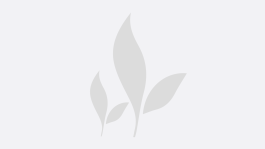 Triticale