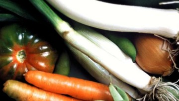 Legume