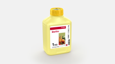 Bellis®