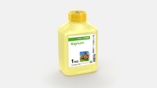 Signum®