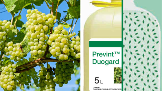 prevint duogard